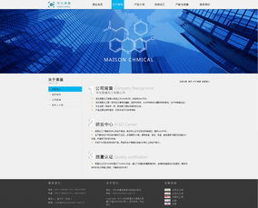 企業網站設計與企業策劃 構建成功的在線品牌體系